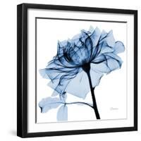 Indigo Rose 2-Albert Koetsier-Framed Art Print