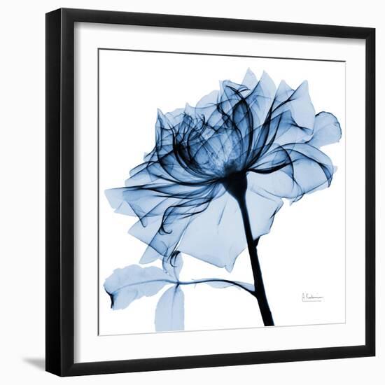 Indigo Rose 2-Albert Koetsier-Framed Art Print