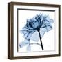 Indigo Rose 2-Albert Koetsier-Framed Art Print