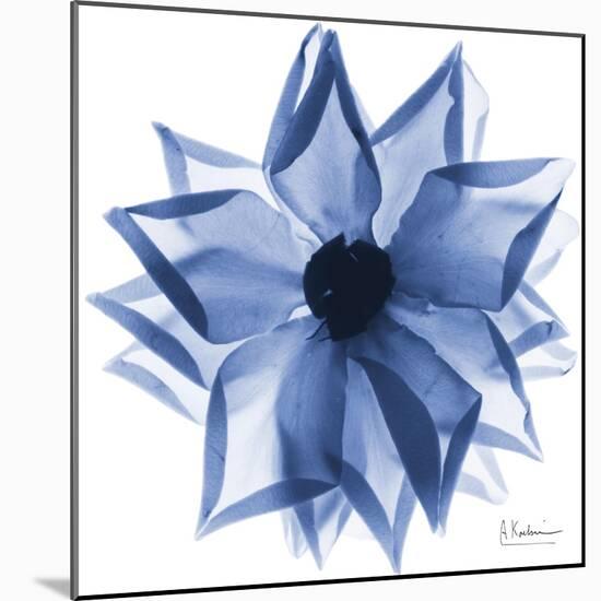 Indigo Rose Petals 1-Albert Koetsier-Mounted Art Print