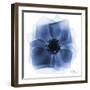 Indigo Rose Petals 2-Albert Koetsier-Framed Art Print