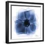 Indigo Rose Petals 2-Albert Koetsier-Framed Art Print