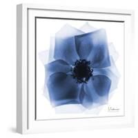 Indigo Rose Petals 2-Albert Koetsier-Framed Art Print