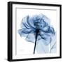 Indigo Rose-Albert Koetsier-Framed Premium Giclee Print