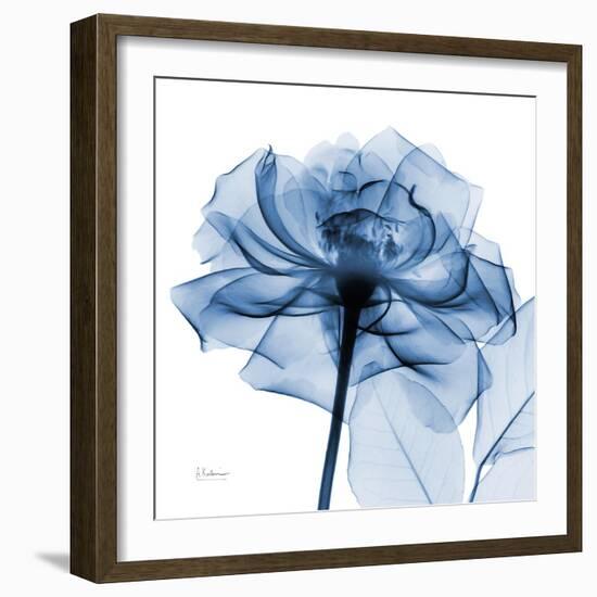 Indigo Rose-Albert Koetsier-Framed Art Print