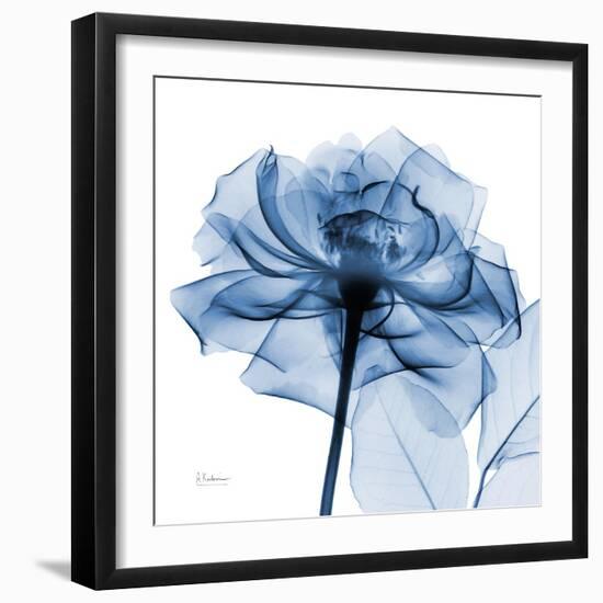 Indigo Rose-Albert Koetsier-Framed Art Print