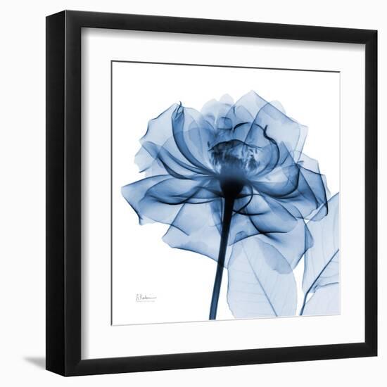 Indigo Rose-Albert Koetsier-Framed Art Print