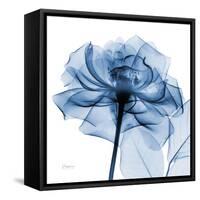 Indigo Rose-Albert Koetsier-Framed Stretched Canvas