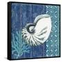 Indigo Sea IV-Paul Brent-Framed Stretched Canvas