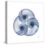 Indigo Sea Nautilus-Albert Koetsier-Stretched Canvas