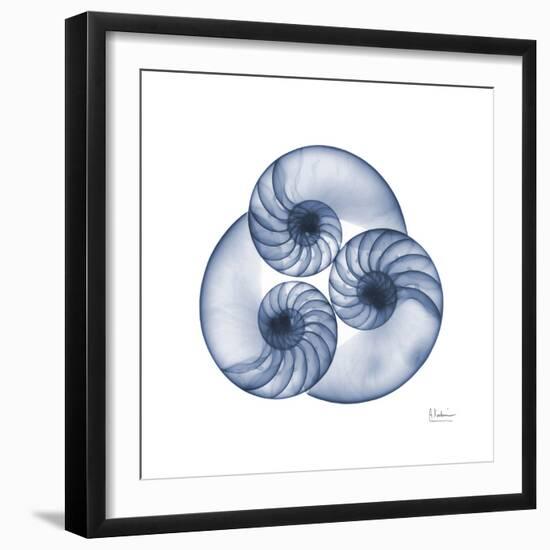 Indigo Sea Nautilus-Albert Koetsier-Framed Art Print