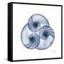 Indigo Sea Nautilus-Albert Koetsier-Framed Stretched Canvas