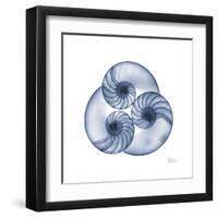 Indigo Sea Nautilus-Albert Koetsier-Framed Art Print