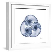 Indigo Sea Nautilus-Albert Koetsier-Framed Art Print