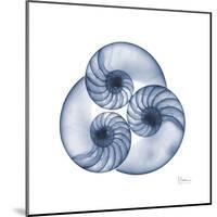 Indigo Sea Nautilus-Albert Koetsier-Mounted Art Print