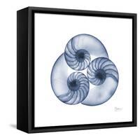 Indigo Sea Nautilus-Albert Koetsier-Framed Stretched Canvas