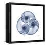 Indigo Sea Nautilus-Albert Koetsier-Framed Stretched Canvas