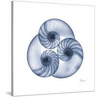 Indigo Sea Nautilus-Albert Koetsier-Stretched Canvas