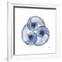 Indigo Sea Nautilus-Albert Koetsier-Framed Premium Giclee Print