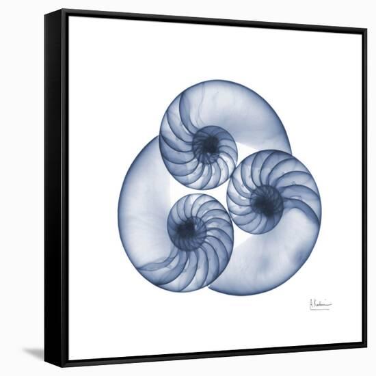 Indigo Sea Nautilus-Albert Koetsier-Framed Stretched Canvas