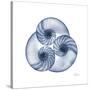 Indigo Sea Nautilus-Albert Koetsier-Stretched Canvas