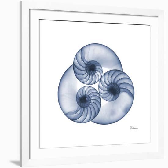 Indigo Sea Nautilus-Albert Koetsier-Framed Art Print