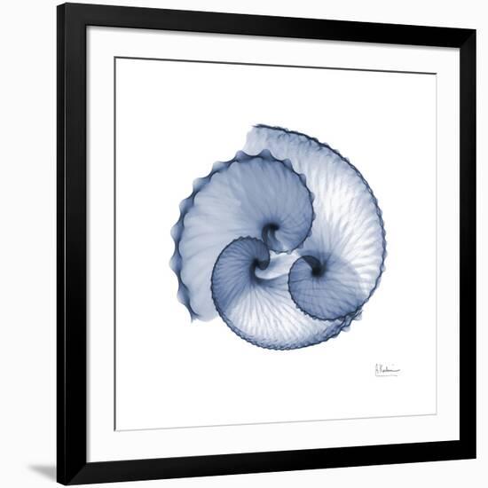 Indigo Sea Shells-Albert Koetsier-Framed Art Print