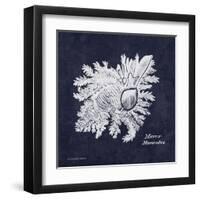 Indigo Shell I-Gwendolyn Babbitt-Framed Art Print