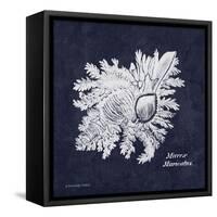 Indigo Shell I-Gwendolyn Babbitt-Framed Stretched Canvas