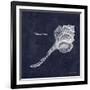 Indigo Shell II-Gwendolyn Babbitt-Framed Art Print