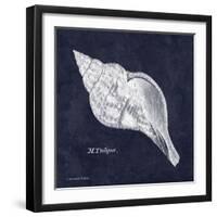 Indigo Shell III-Gwendolyn Babbitt-Framed Art Print