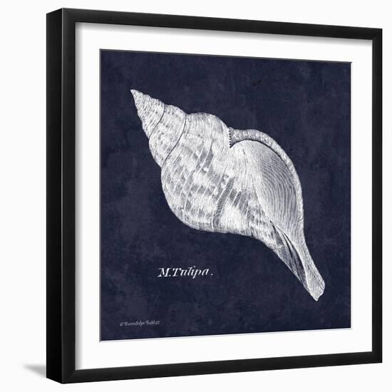 Indigo Shell III-Gwendolyn Babbitt-Framed Art Print