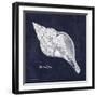 Indigo Shell III-Gwendolyn Babbitt-Framed Art Print