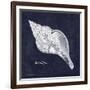 Indigo Shell III-Gwendolyn Babbitt-Framed Art Print