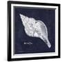 Indigo Shell III-Gwendolyn Babbitt-Framed Art Print