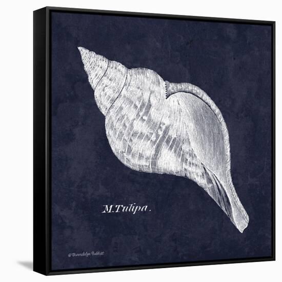 Indigo Shell III-Gwendolyn Babbitt-Framed Stretched Canvas