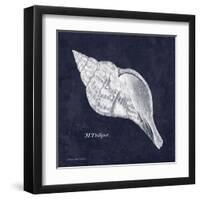 Indigo Shell III-Gwendolyn Babbitt-Framed Art Print