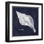 Indigo Shell III-Gwendolyn Babbitt-Framed Art Print