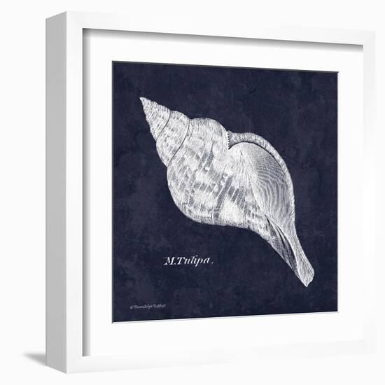 Indigo Shell III-Gwendolyn Babbitt-Framed Art Print