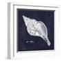 Indigo Shell III-Gwendolyn Babbitt-Framed Art Print