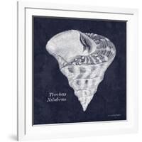 Indigo Shell IV-Gwendolyn Babbitt-Framed Art Print