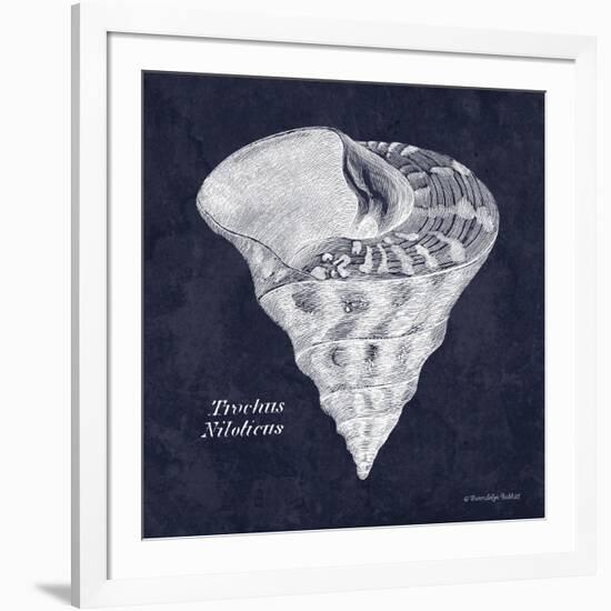 Indigo Shell IV-Gwendolyn Babbitt-Framed Art Print