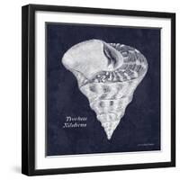 Indigo Shell IV-Gwendolyn Babbitt-Framed Art Print