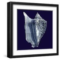 Indigo Shells I-Vision Studio-Framed Art Print