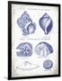 Indigo Shells I-Gwendolyn Babbitt-Framed Art Print