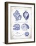 Indigo Shells I-Gwendolyn Babbitt-Framed Art Print