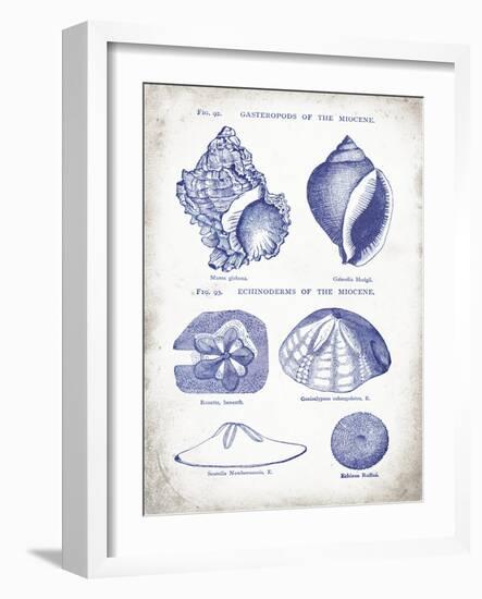 Indigo Shells I-Gwendolyn Babbitt-Framed Art Print