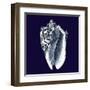 Indigo Shells II-Vision Studio-Framed Art Print