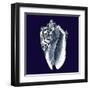 Indigo Shells II-Vision Studio-Framed Art Print