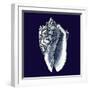 Indigo Shells II-Vision Studio-Framed Art Print